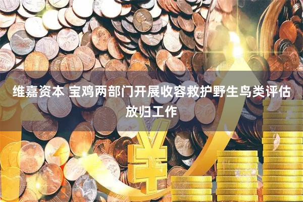 维嘉资本 宝鸡两部门开展收容救护野生鸟类评估放归工作