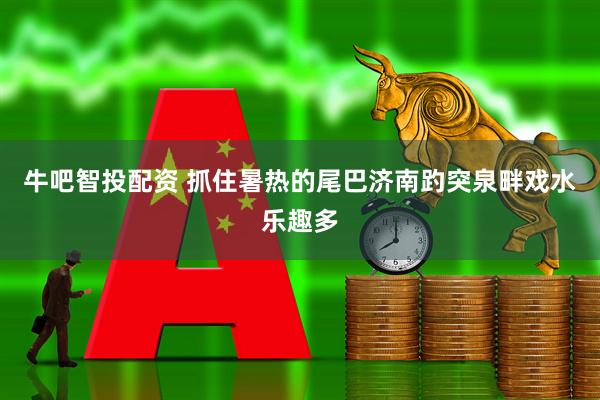 牛吧智投配资 抓住暑热的尾巴济南趵突泉畔戏水乐趣多