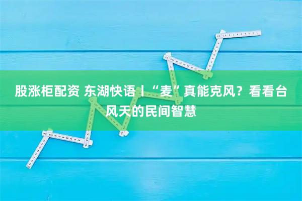 股涨柜配资 东湖快语丨“麦”真能克风？看看台风天的民间智慧