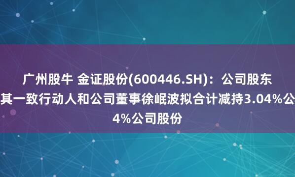 广州股牛 金证股份(600446.SH)：公司股东赵剑及其一致行动人和公司董事徐岷波拟合计减持3.04%公司股份