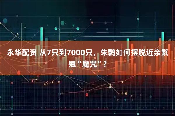 永华配资 从7只到7000只，朱鹮如何摆脱近亲繁殖“魔咒”?