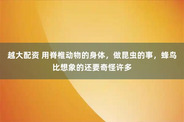 越大配资 用脊椎动物的身体，做昆虫的事，蜂鸟比想象的还要奇怪许多